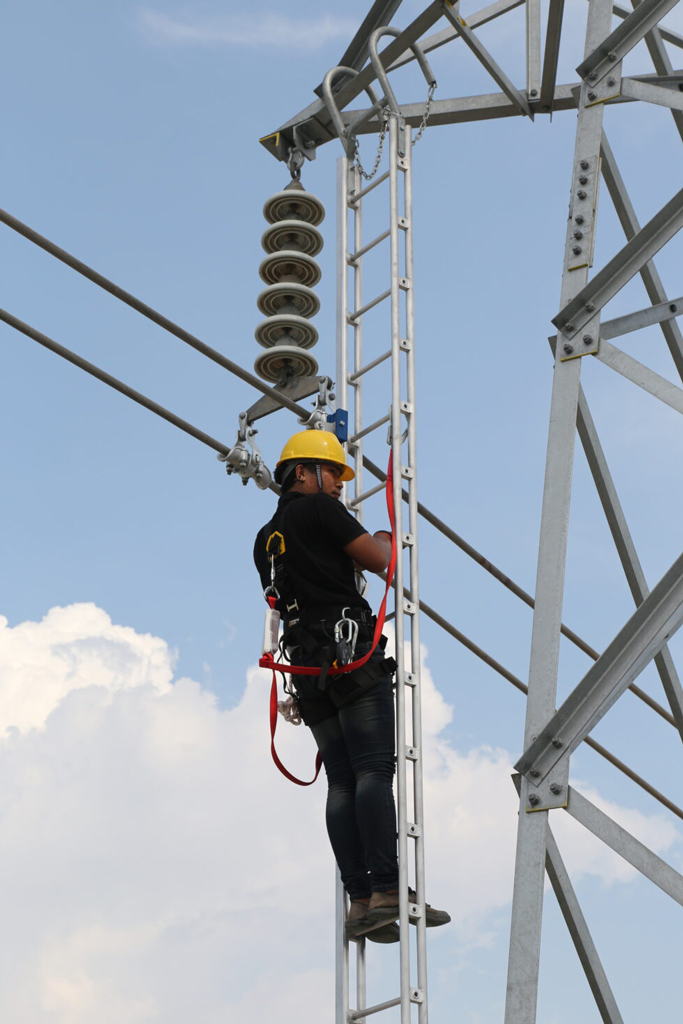 Thang Thay Sứ Đứng ZECK SLA-01-0400 – Thang Treo Chuyên Dụng Cho Công Tác Thay Sứ Trên Cột Điện