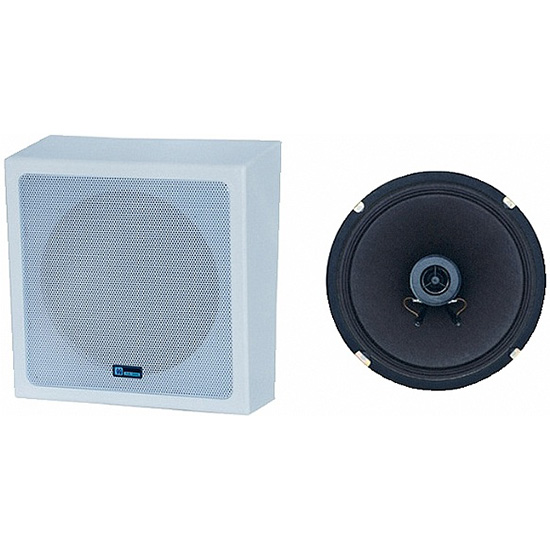 Loa âm thanh treo tường YUNYANG YSP-610AS