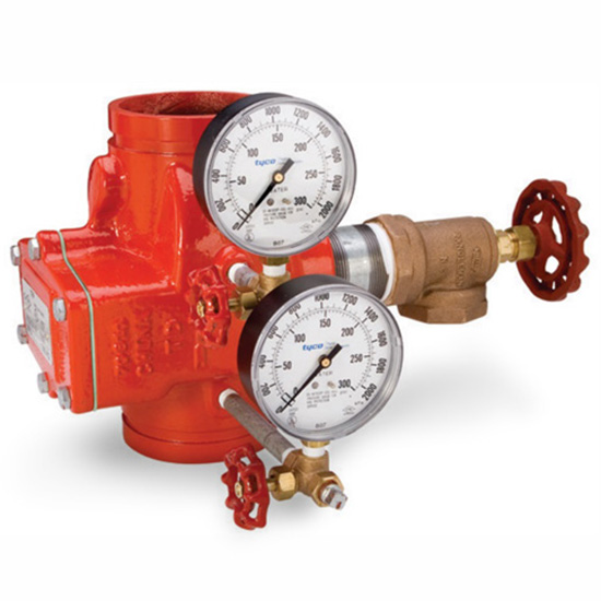 Van kiểm tra DN300 TYCO CV-1FR