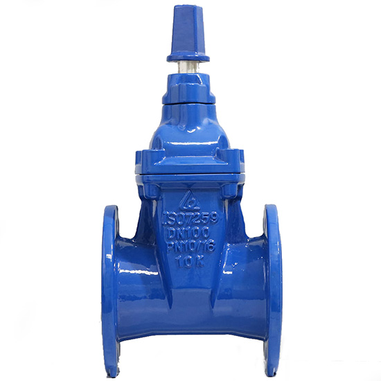 Van cổng ty chìm nắp chụp DN300 SHINYI RVCX-0300